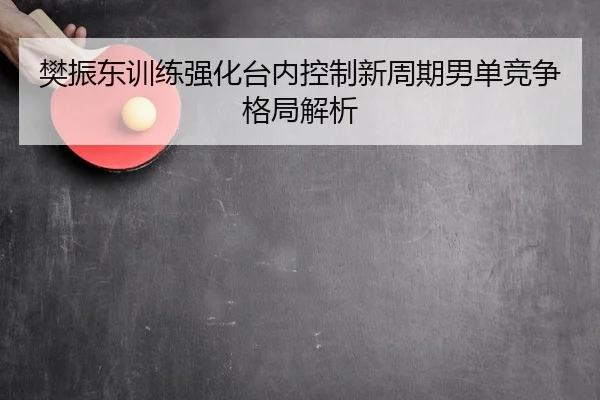 樊振东训练强化台内控制新周期男单竞争格局解析